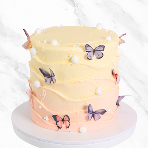 Butterfly Cake Sydney