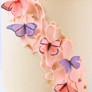 Minimalist Ethereal Butterfly Cake Sydney