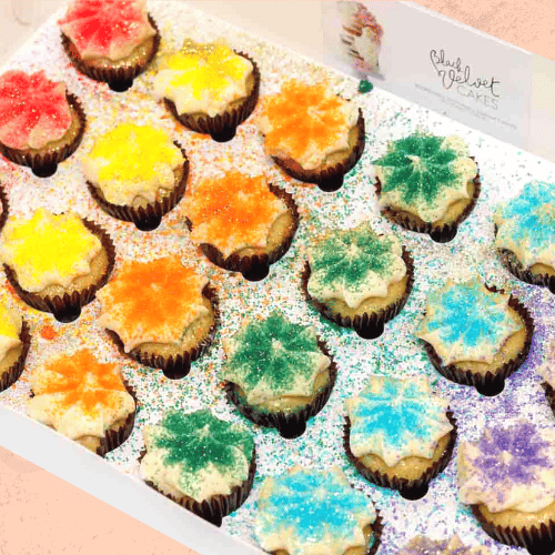 Rainbow Block Mini Cupcakes (24) Sydney