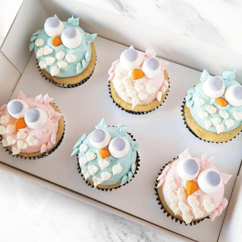 Baby Shower Owl Cupcakes-BVSydneyCupcakes