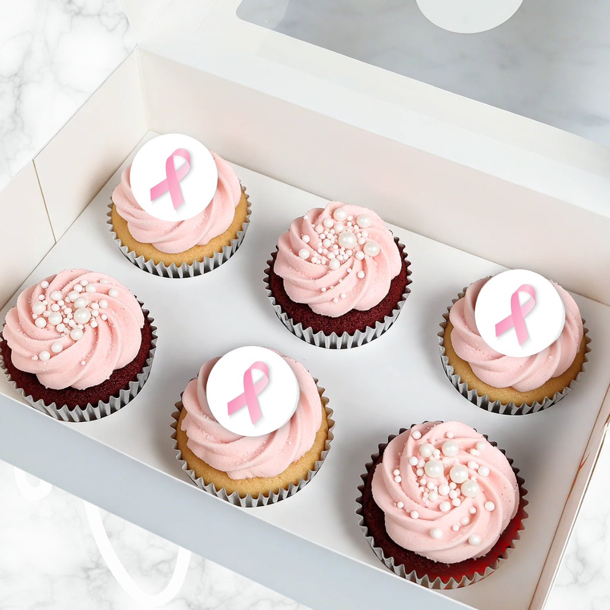 Breast Cancer Pink Ribbon Cupcakes (6)