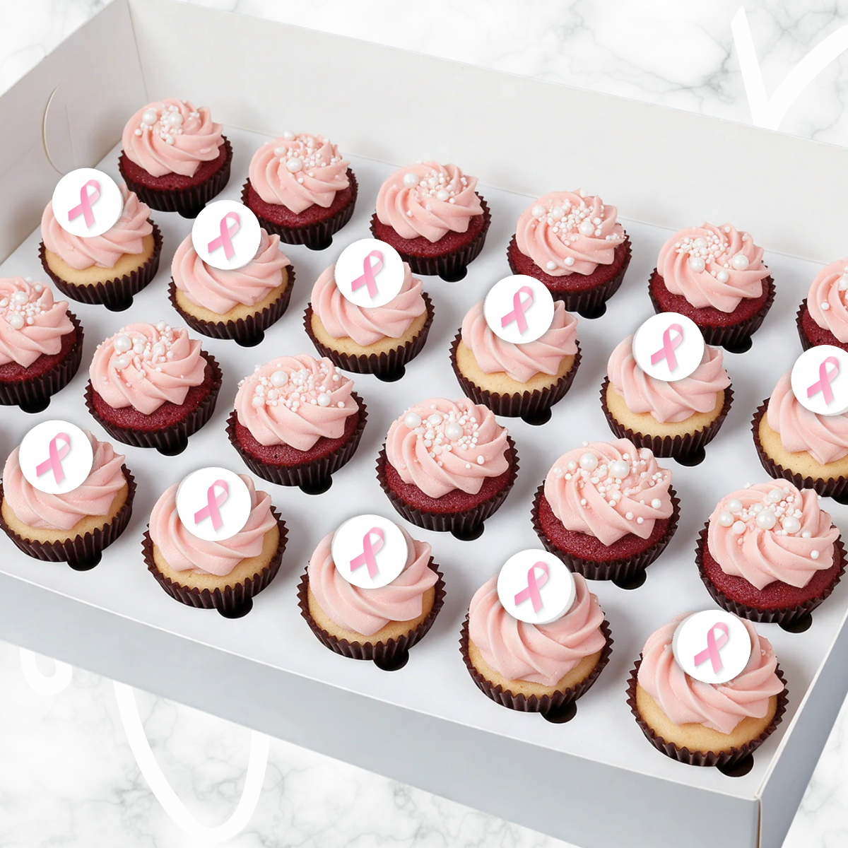 Breast Cancer Pink Ribbon Mini Cupcakes (24)