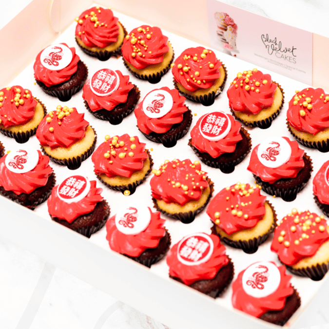 Lunar New Year Art Mini Cupcakes (24)