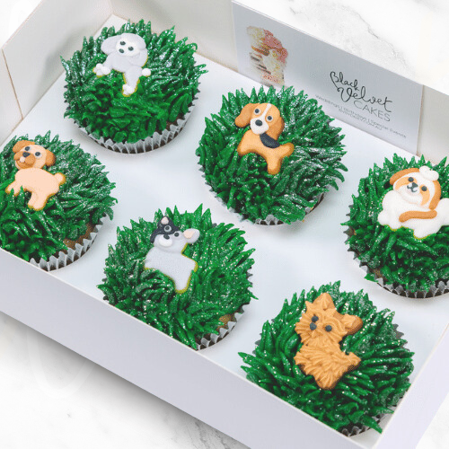 Dog Park Cupcakes (6)