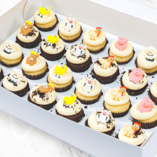 Farmyard Kids Mini Cupcakes (24)