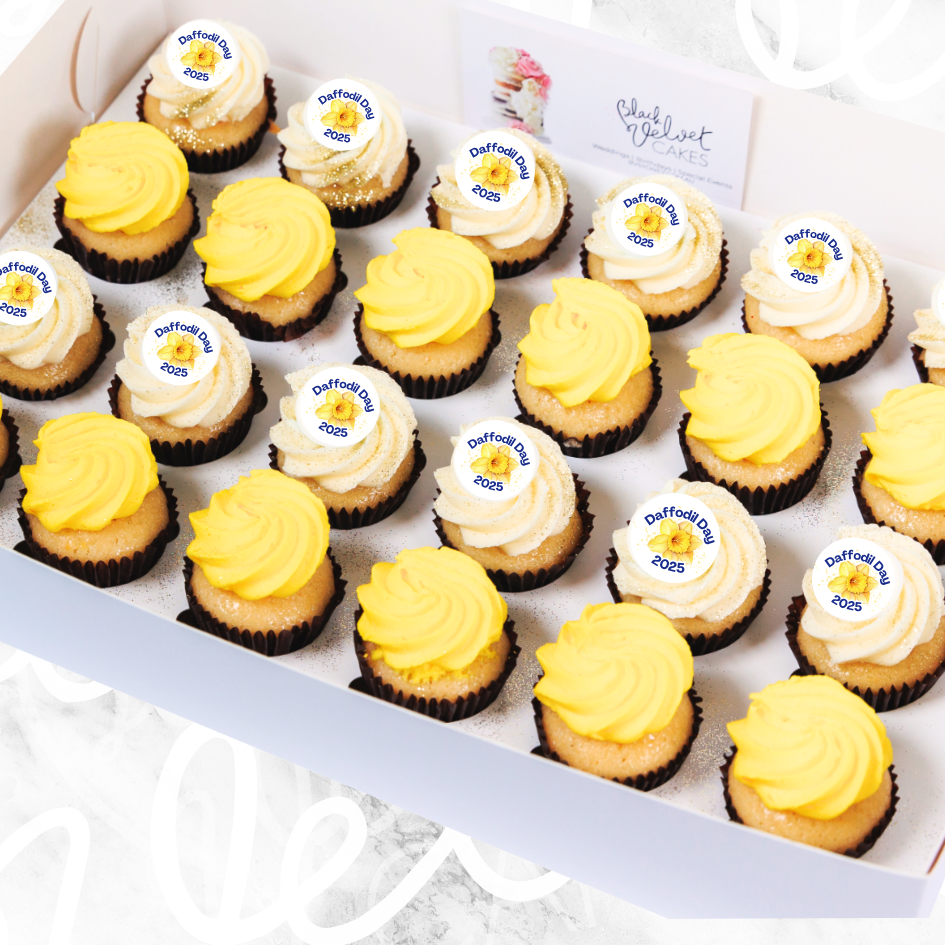 Daffodil Day Mini Cupcakes (24)-BVSydneyCupcakes