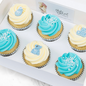 New Baby Gift Cupcakes (6)