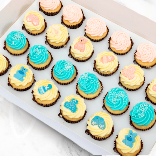 New Baby Shower Gift Mini Cupcakes (24)