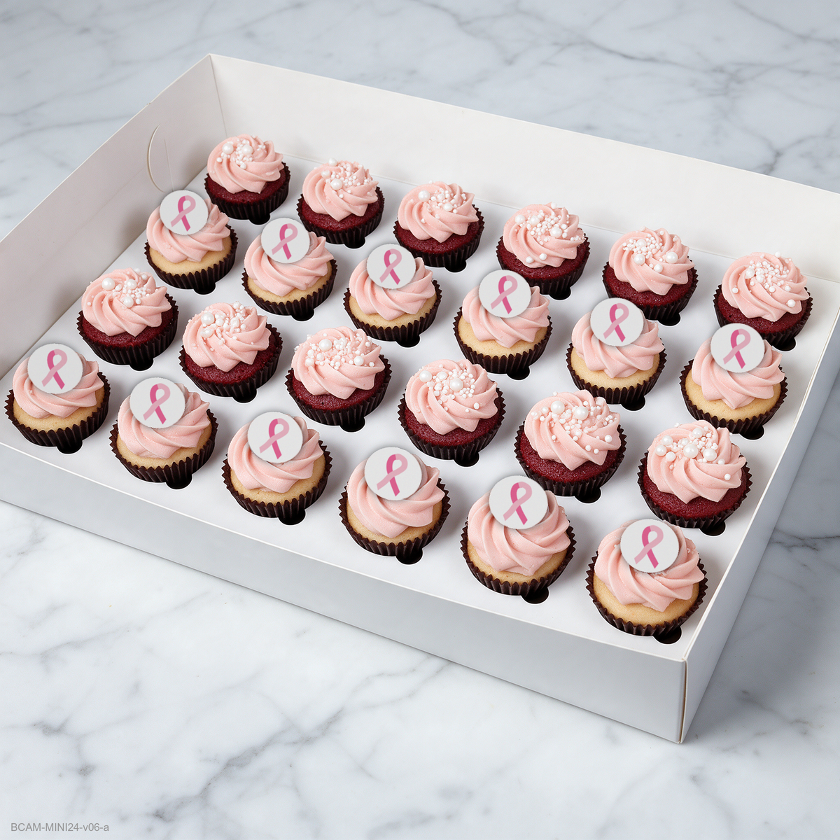 Breast Cancer Pink Ribbon Mini Cupcakes (24)