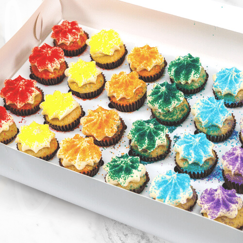 VEGAN Rainbow Block Mini Cupcakes (24)-BVSydneyCupcakes
