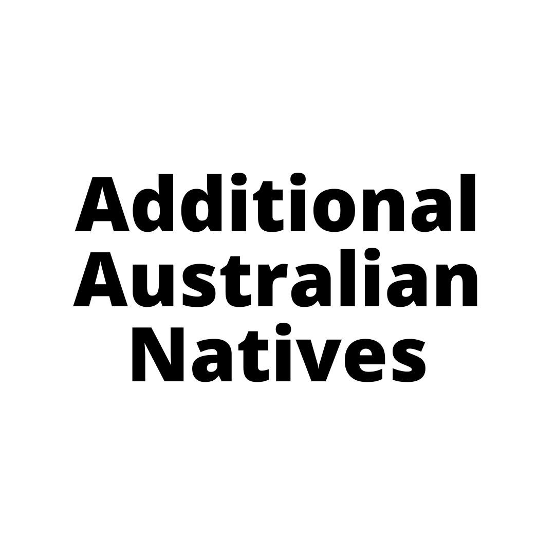 Additional Australian Natives Sydney