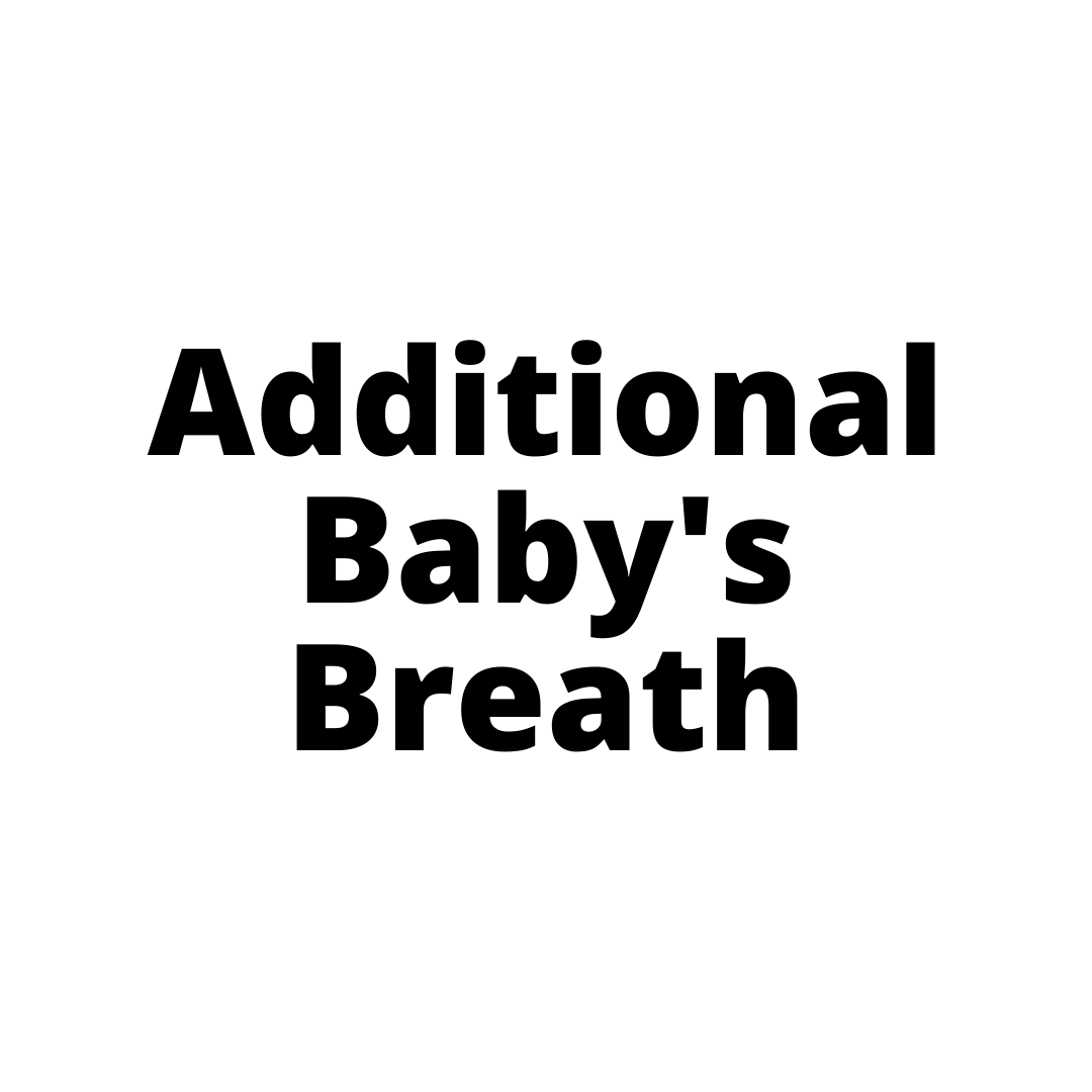 Additional Baby's Breath Sydney