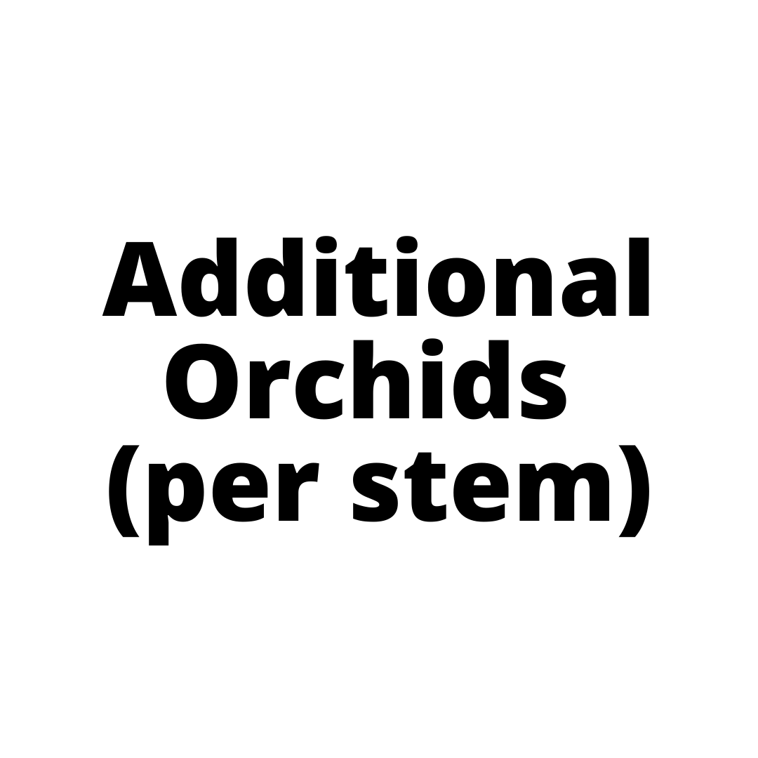 Additional Orchids  (per stem) Sydney