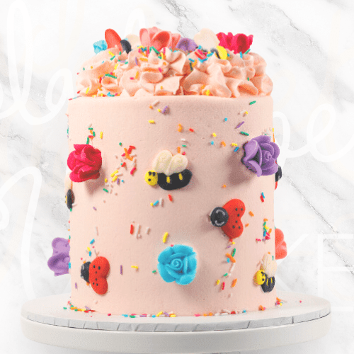 Bee and Lady Beetle Cake-BVSydney
