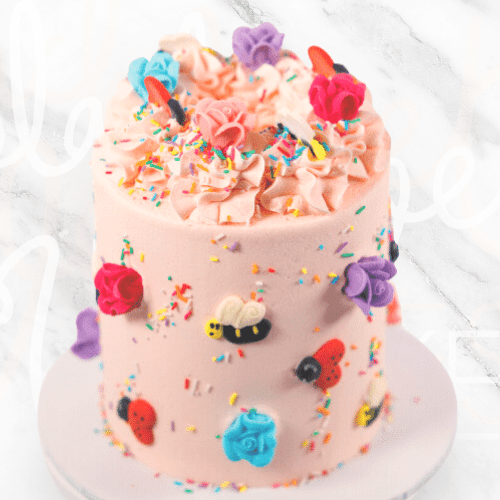 Bee and Lady Beetle Cake-BVSydney