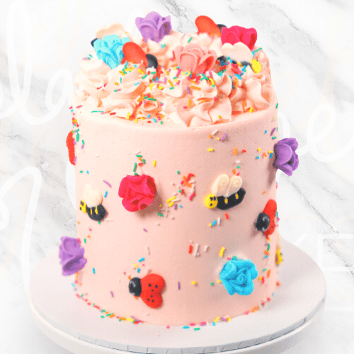 Bee and Lady Beetle Cake-BVSydney