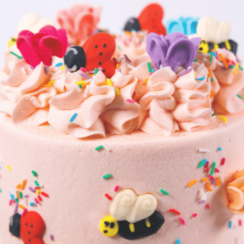 Bee and Lady Beetle Cake-BVSydney