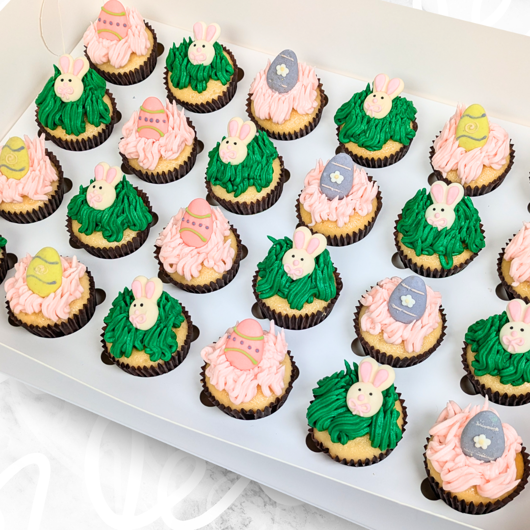 Bunny vs You Easter Egg Hunt Mini Cupcakes (24) Sydney