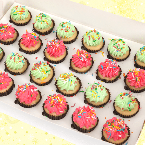 Christmas Cheer Sprinkles Mini Cupcakes (24)