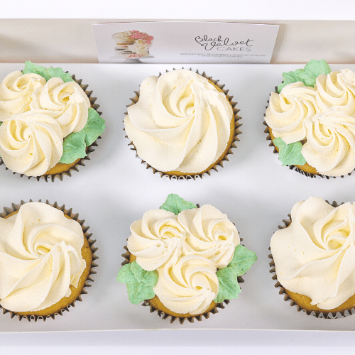Classic Ivory White Rosette Cupcakes (12) Sydney