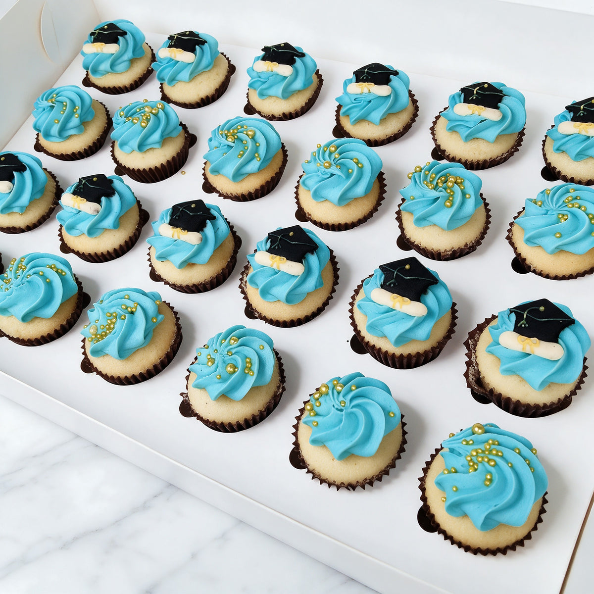 Graduation Colours Mini Cupcakes (24)