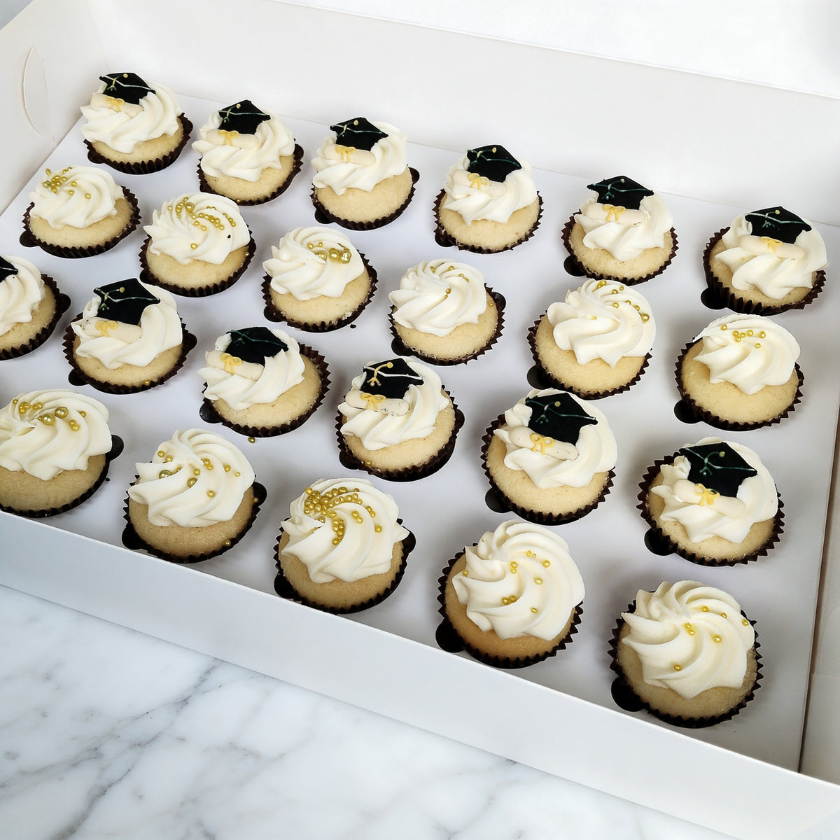 Ivy Graduation Mini Cupcakes (24)