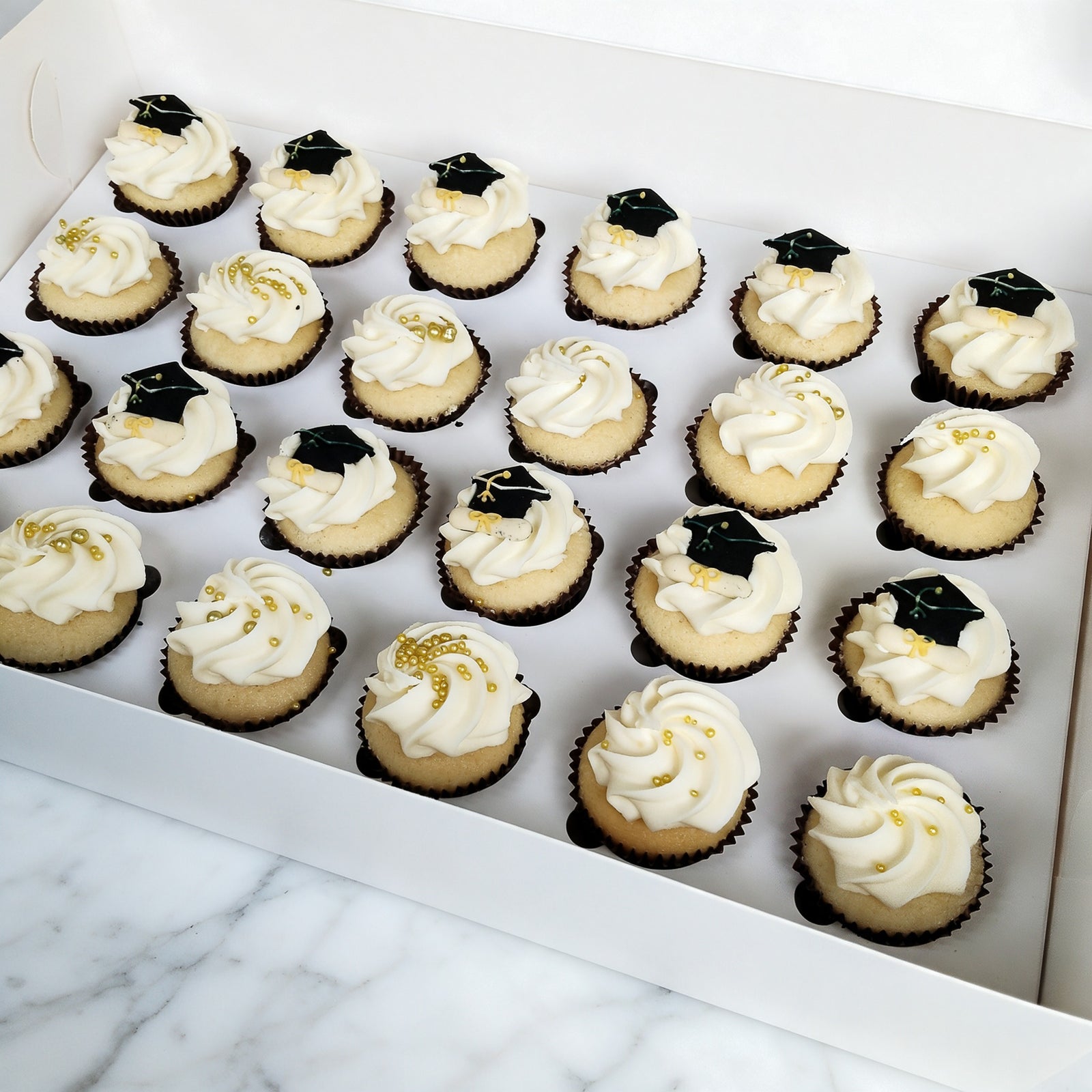 Ivy Graduation Mini Cupcakes (24)
