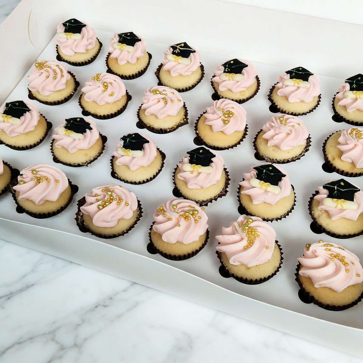 Graduation Colours Mini Cupcakes (24)