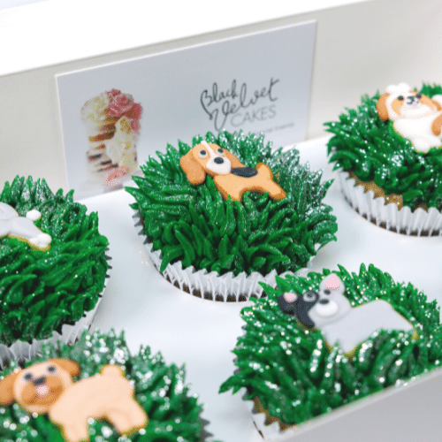 Dog Park Cupcakes (6)-BVSydneyCupcakes