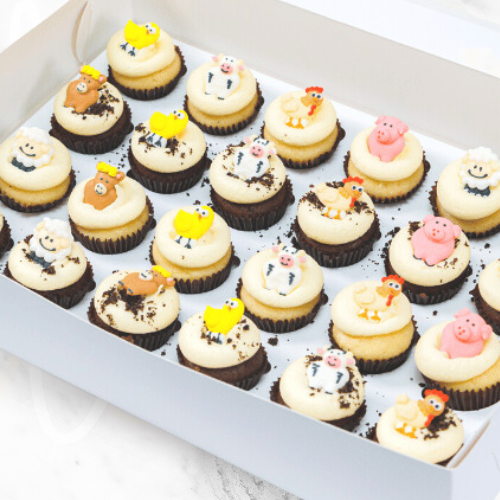 Farmyard Kids Mini Cupcakes (24) Sydney