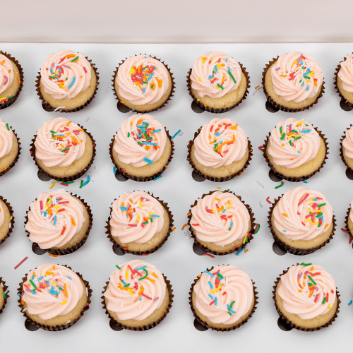 Pink Jimmies Mini Cupcakes (24)-BVSydneyCupcakes