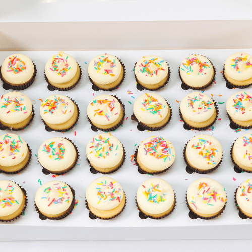 Jimmies Sprinkles Mini Cupcakes (24)-BVSydneyCupcakes