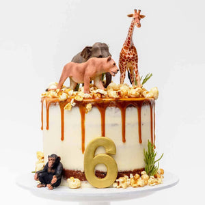 Kings of The Zoo Cake Sydney