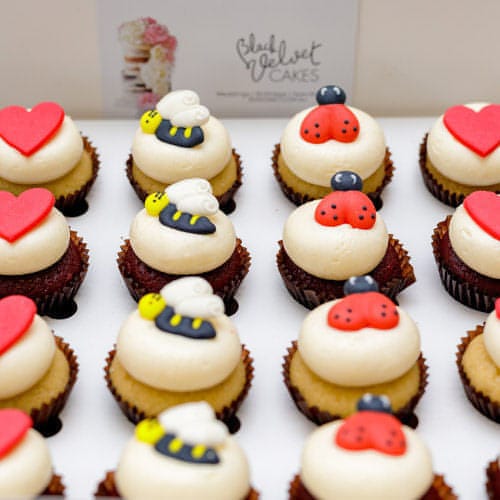 LOW GLUTEN Ladybug and Bee Mini Cupcakes (24)-BVSydneyCupcakes