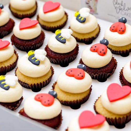 LOW GLUTEN Ladybug and Bee Mini Cupcakes (24)-BVSydneyCupcakes