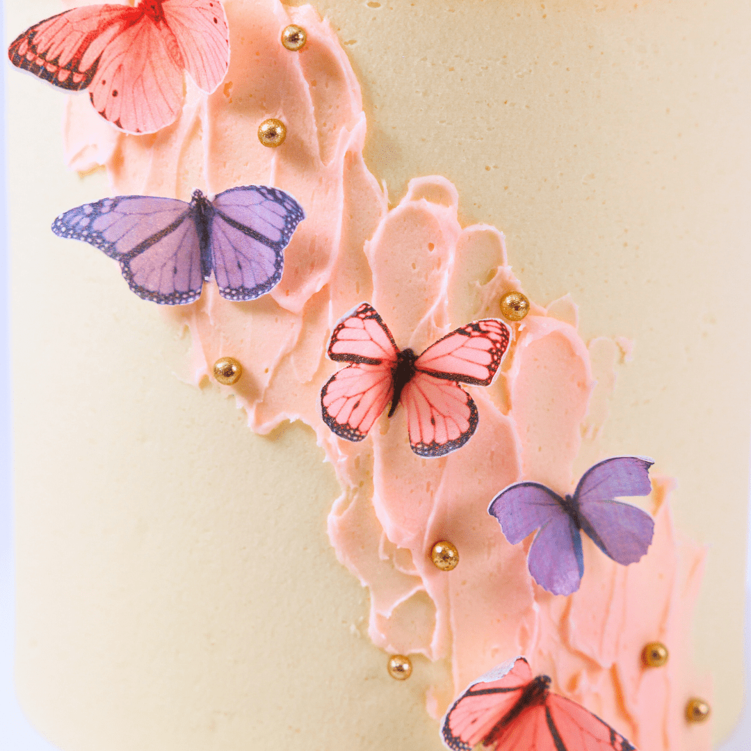 Minimalist Ethereal Butterfly Cake-BVSydney