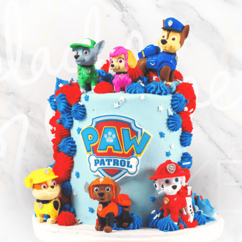 Paw Patrol Cake-BVSydney