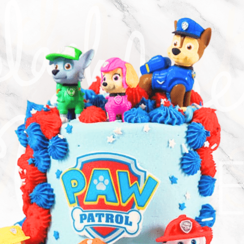 Paw Patrol Cake-BVSydney