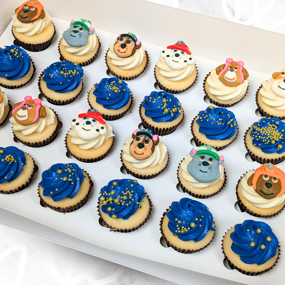 Paw Patrol Mini Cupcakes (24) Sydney
