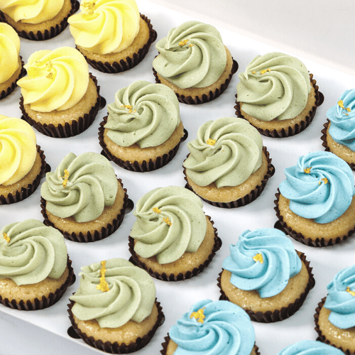 Spring in Bloom Mini Cupcakes (48) Sydney