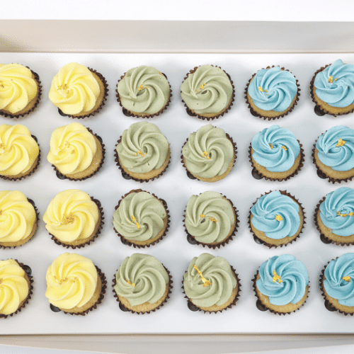 Spring in Bloom Mini Cupcakes (48) Sydney