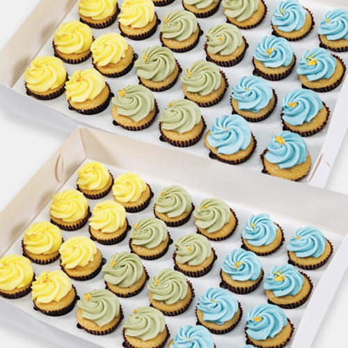 Spring in Bloom Mini Cupcakes (48) Sydney