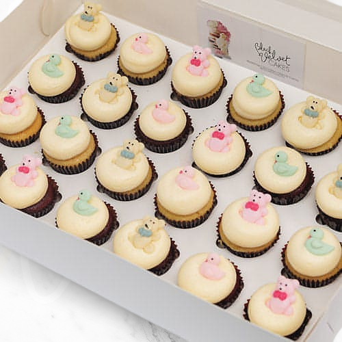 Teddy Ducky Mini Cupcakes (24) Sydney