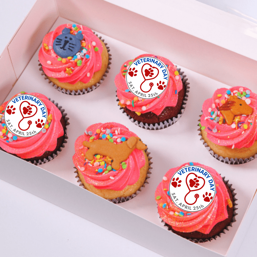 Veterinary Day Sat 25 Apr Cupcakes (6) Sydney